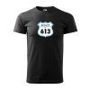 ROUTE613black