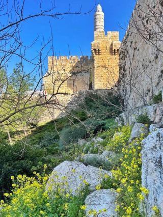 Shabbat Shalom 🌿🇮🇱🌿 ~ #Cohen57