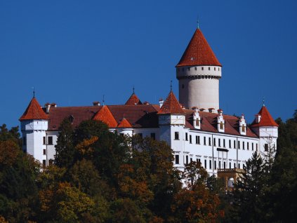 Private tour to Konopiště Chateaux