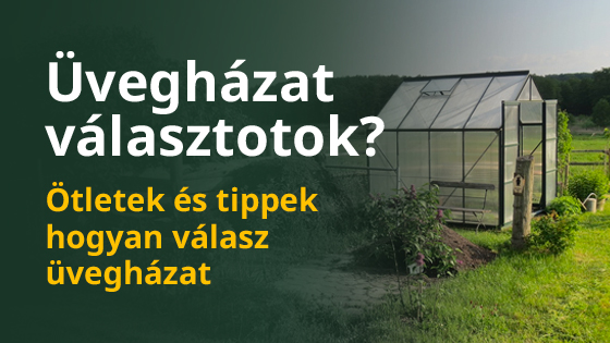 Üvegházat választotok? Ötletek és tippek hogyan válasz üvegházat