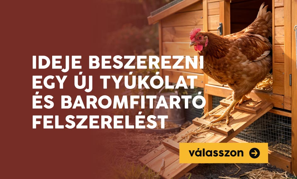 Ideje beszerezni egy új tyúkólat és baromfitartó felszerelést.