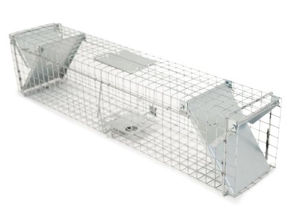 3545593 2 past trap zl82