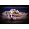 CROCODOG STRIPED PET BED