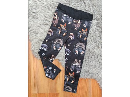 Legíny - kočičky v brýlích