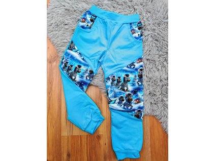 Tepláčky tyrkysové - zebry