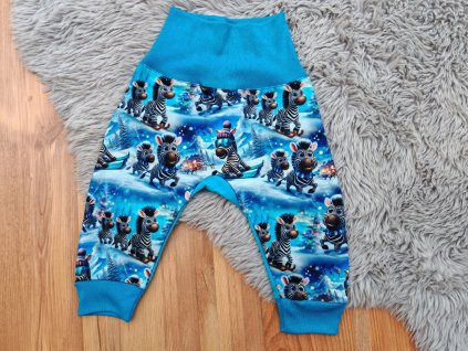 Turkáčky tyrkysové - zebry