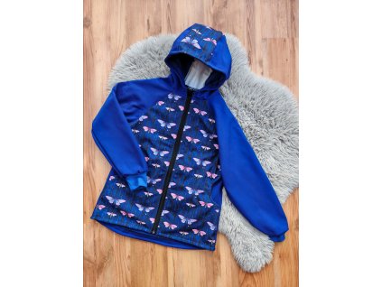 Bunda modrá - motýlci