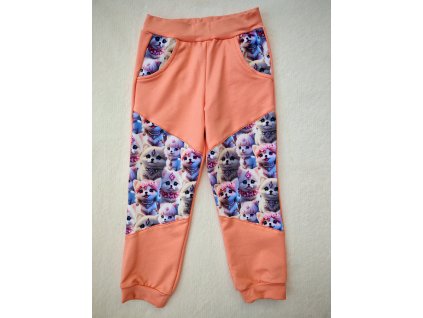 Tepláčky meruňkové - kočičky