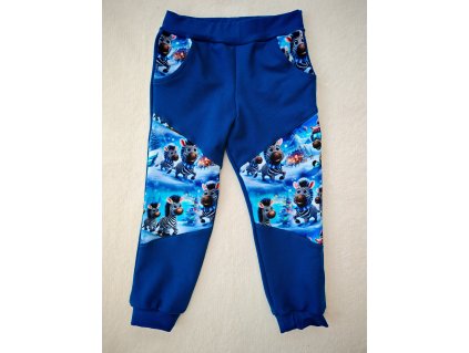 Tepláčky petrolejové - zebry