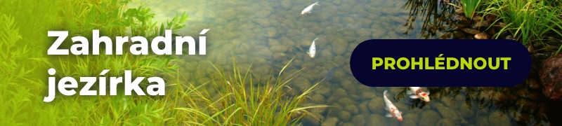 Zahradní jezírka