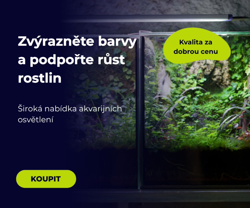LED osvětlení akvária