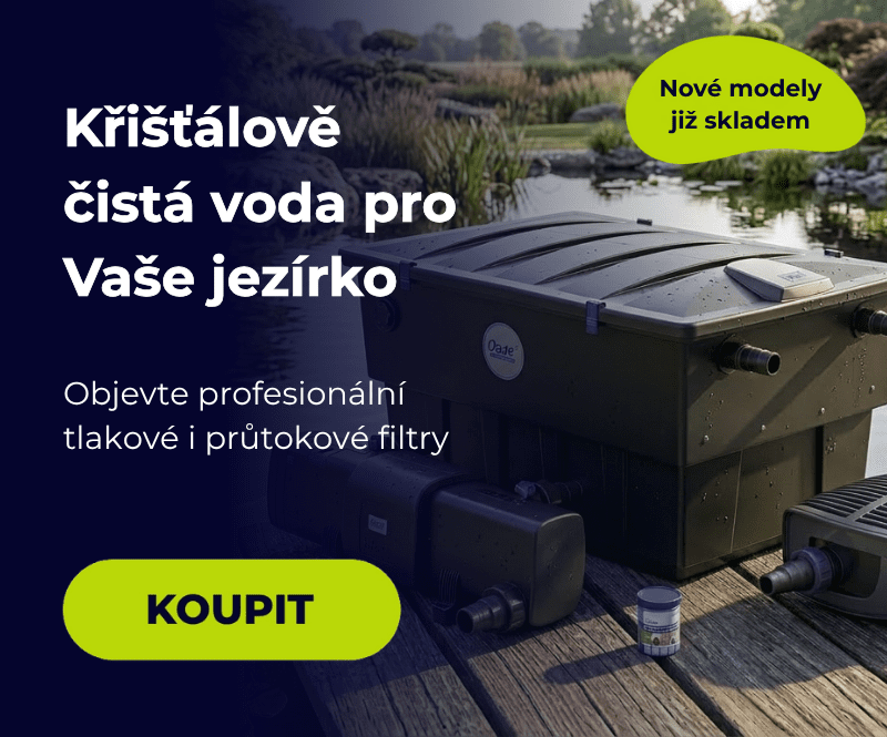 Čistá voda