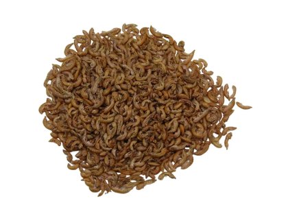 Gammarus - Sladkovodní garnáty 2,5L_1