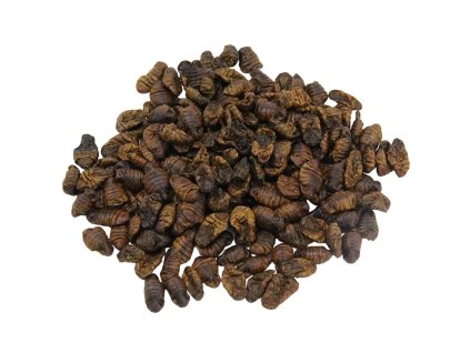 Silworms - Bourec morušový 2,5 L_1