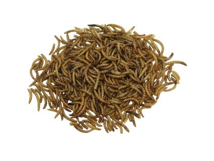 Mealworms - Moučne červy 10L_1