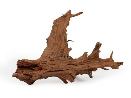 Mangrovový kořen Happet MANGROVE root 1