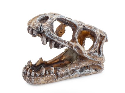 6478 dinosauri lebka dekorace do akvaria