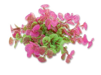 6667 umela akvarijni rostlina happet 1f11