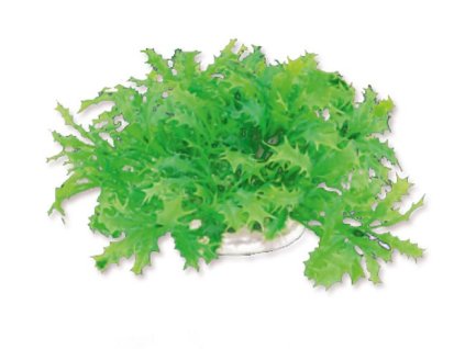 6700 umela akvarijni rostlina happet 1f22