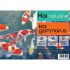 Gammarus - Sladkovodní garnáty 10L_2