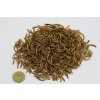 Mealworms - Moučne červy 5L_2