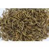 Mealworms - Moučne červy 5L_3