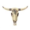6289 buvoli lebka dekorace do akvaria