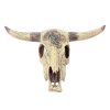6289 3 buvoli lebka dekorace do akvaria