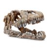 6448 lebka t rexe dekorace do akvaria