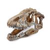 6448 1 lebka t rexe dekorace do akvaria