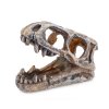 6478 dinosauri lebka dekorace do akvaria
