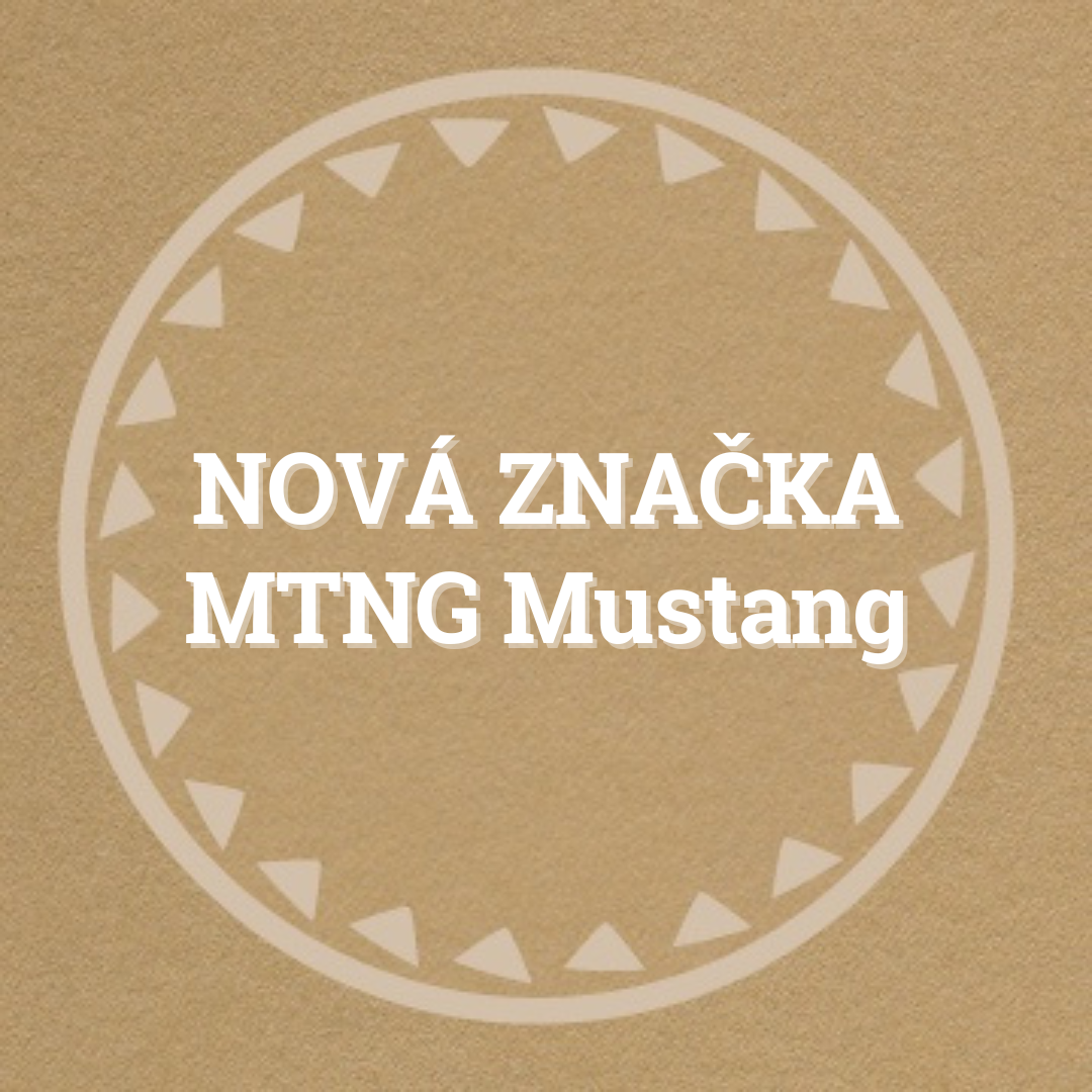 Ďalšia novinka - značka MTNG Mustang