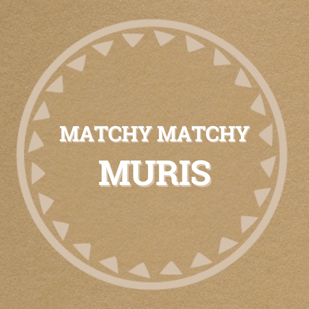 Akcia týždňa - Matchy Matchy Muris