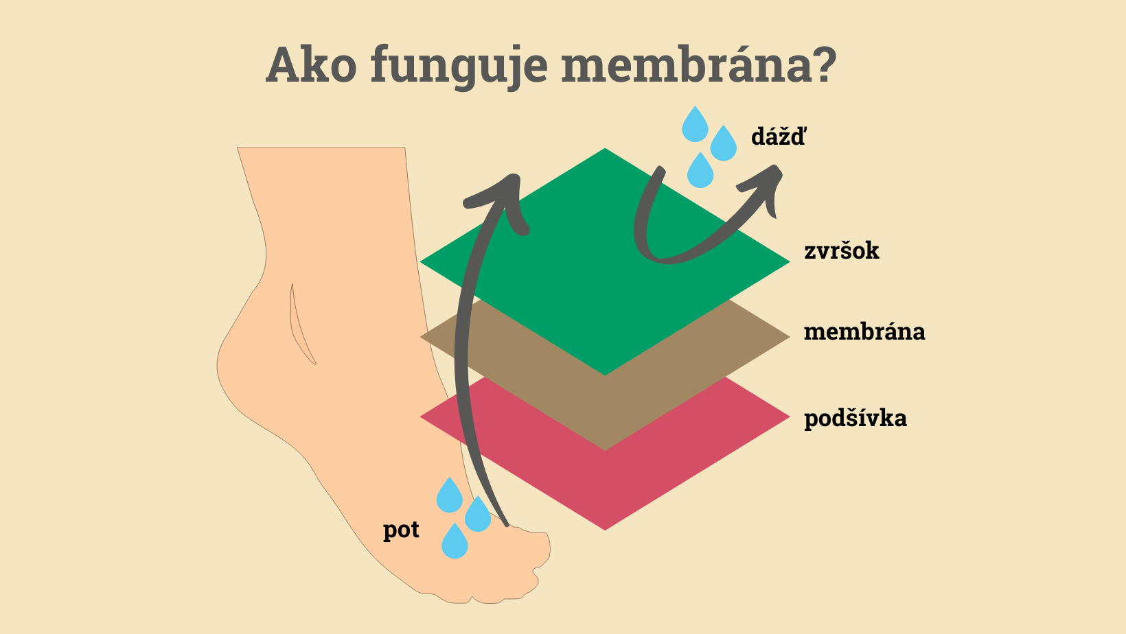 membfung