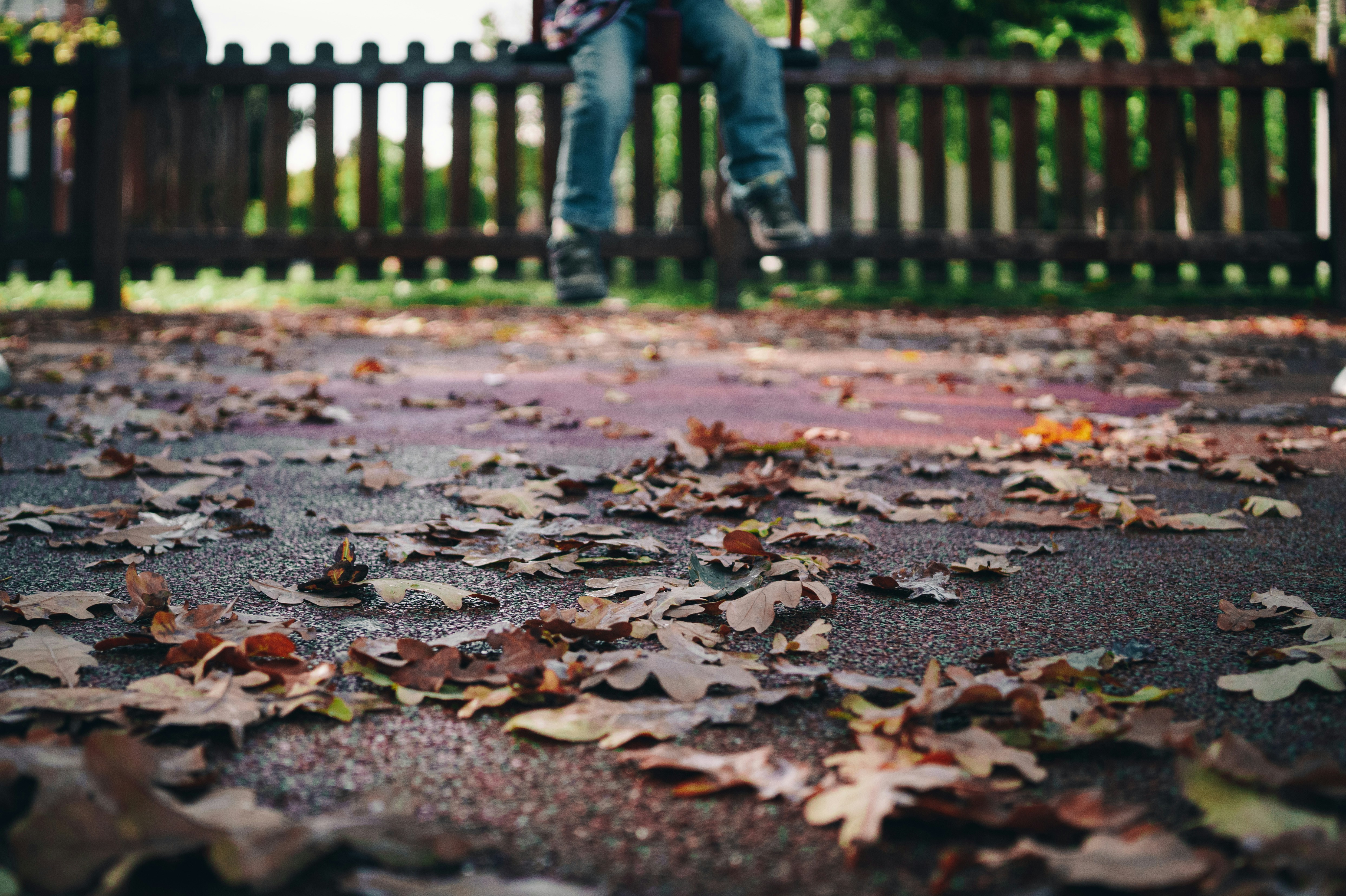 xavi-cabrera-mufbXDCyids-unsplash