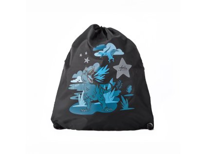 24117 Dinosaur gymbag