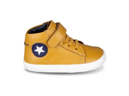 1125503CAMEL1 (COPIAR)