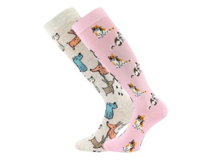 Snímka obrazovky 2026 01 27 124939