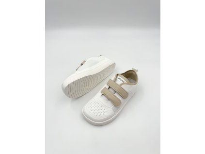 Photo 06 02 2026, 12 59 36