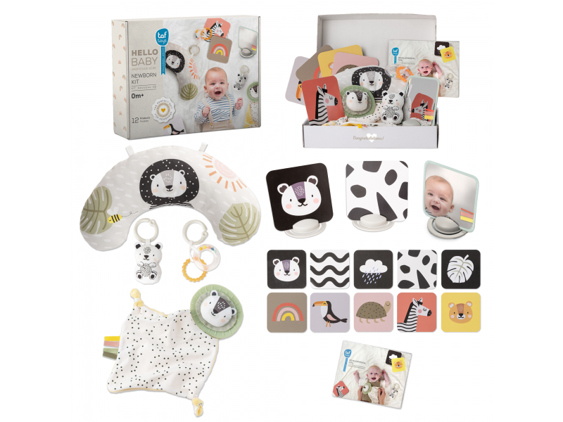 TAF TOYS DARČEKOVÁ SADA HRAČIEK PRE BÁBÄTKÁ - HELLO BABY