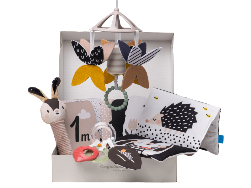TAF TOYS DARČEKOVÁ SADA HRAČIEK PRE BÁBÄTKÁ - BLACK AND WHITE KIT