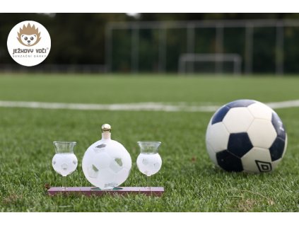 FOTBAL MIC 08 600x900c