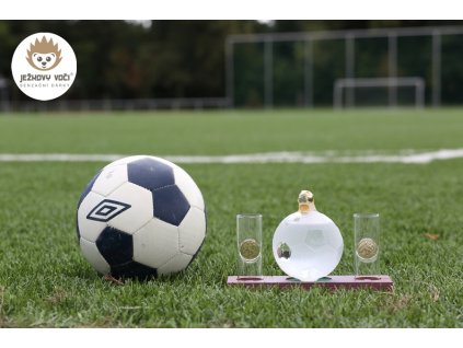 FOTBAL MIC 005 600x900 TOPc