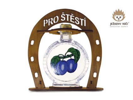 01934 PRO STESTI SVESTKA 600x900 01 c