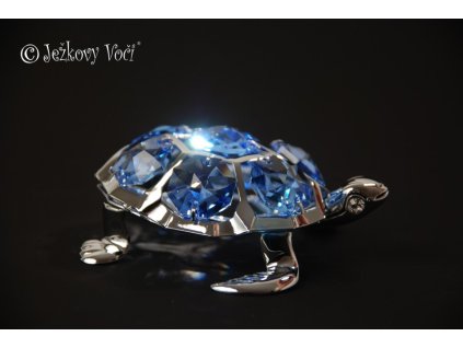 ZELVA COPYRIGHT 600x896