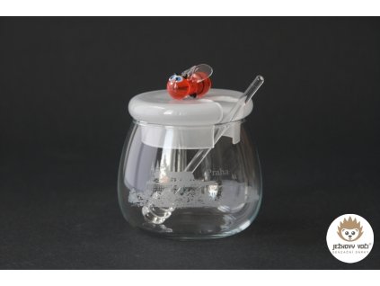 DOZA MED PRAHA 600x900 c ret