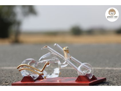 HARLEY PLNY 01 600x900 c