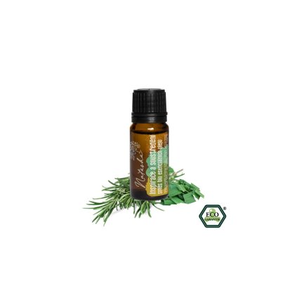 Směs esenciálních olejů Inspirace a soustředění 10ml Natasha