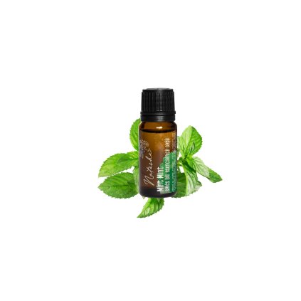 Směs esenciálních olejů Mint Mint 10ml Natasha