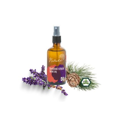 Osvěžovač vzduchu Sladké sny 100ml Natasha
